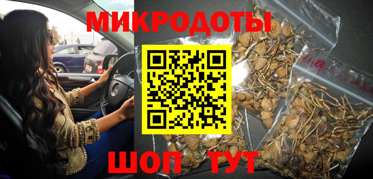 Шатура  Галлюциногенные грибы мухоморы  Вход с VPN 
